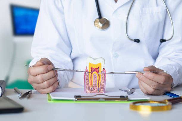 Best Emergency Root Canal Treatment in Wesson, MS